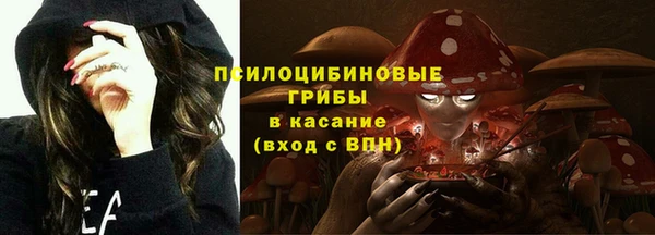 трава Ладушкин