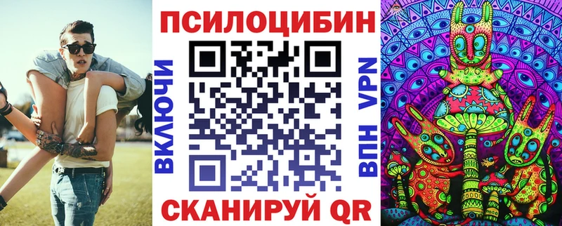 MEGA ссылка  где купить наркоту  Тимашёвск  Псилоцибиновые грибы мицелий 